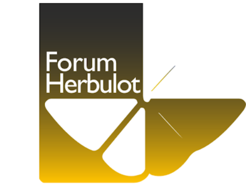 XII International Congress of Forum Herbulot – Sud Africa 2025