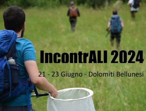 (PROVA PAOLO) IncontrALI 2024: 21 – 23 giugno, Dolomiti Bellunesi